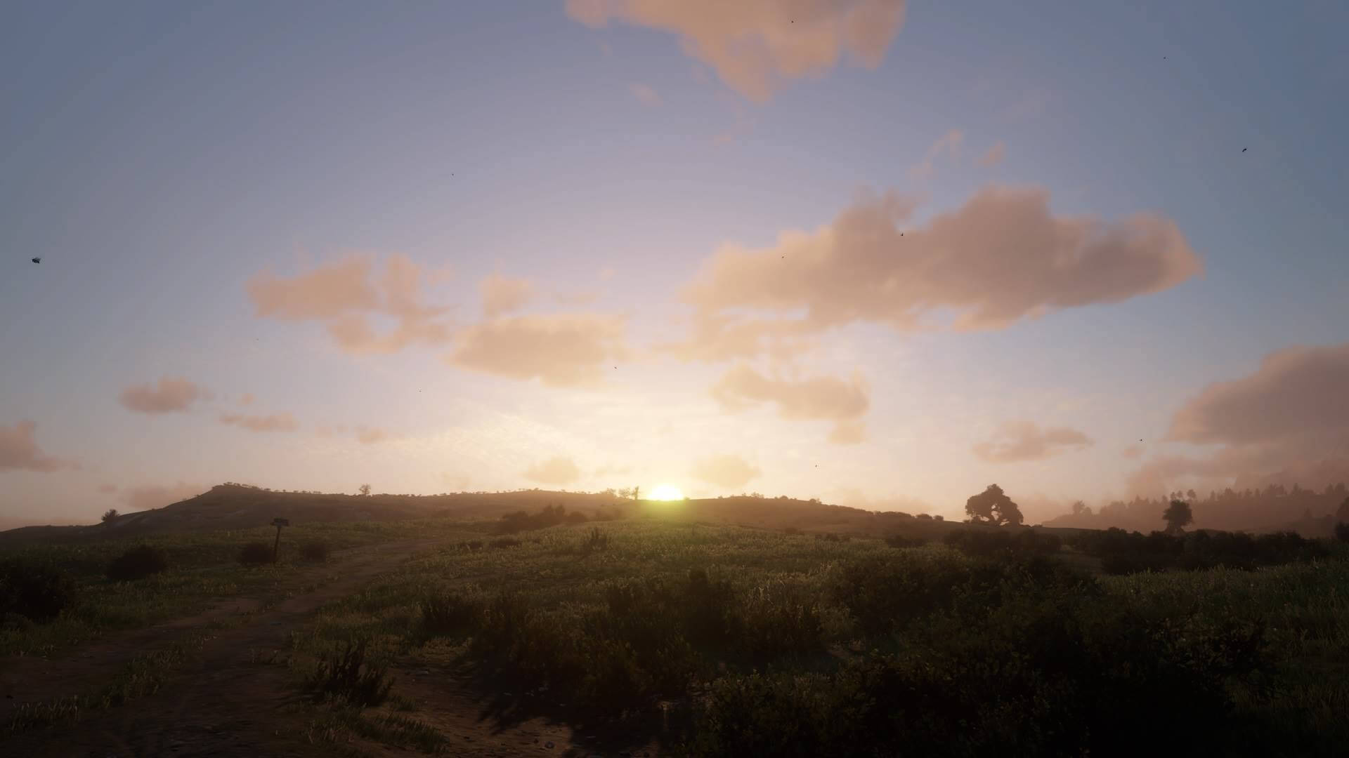 Red Dead Redemption 2 - collina all'alba