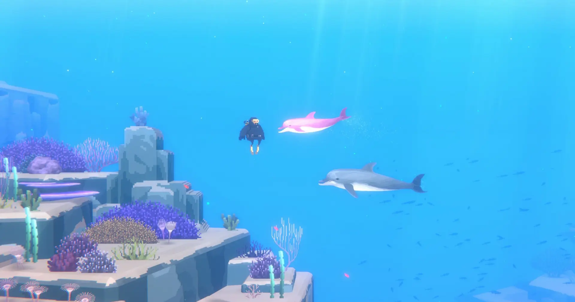 Dave The Diver - Dave fa amicizia con un delfino grigio e un delfino rosa